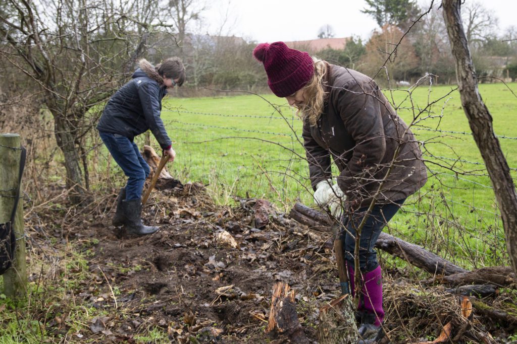 Two ladies preparing ground for hedge planting