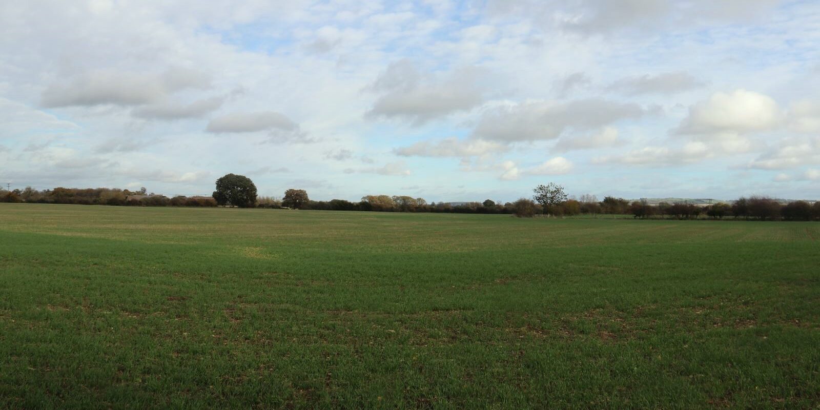 Landscape image of a field at Noke, the proposed site for a solar farm